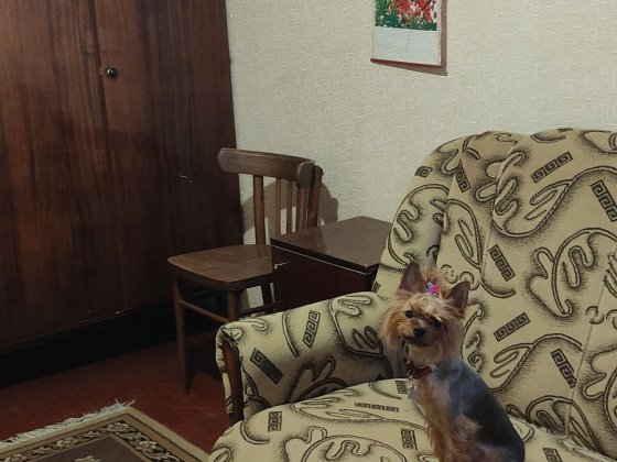 Новые Дома ! БЕЗ ОПЛАТЫ КОММУНАЛЬНЫХ УСЛУГ! 2 к.кв. - 5500 грн.! Харьков