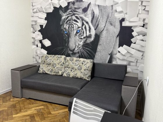 Оренда однокімнатної квартири в Центрі міста Львова Львов