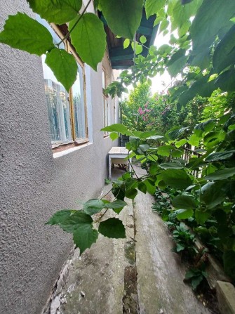 Сдам 1 комнатную на Болгарской/Мясоедовской со своим двориком! - фото 1