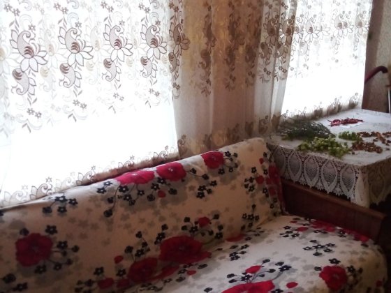 Здам кімнату в Варварівці Николаев