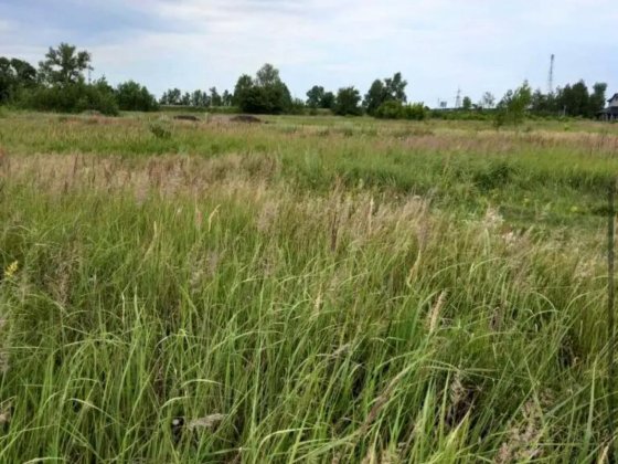 Терміново продам земельну ділянку 4 га поруч із ТРЦ Riviera, Фонтанка, Одеса Одеса