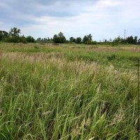 Терміново продам земельну ділянку 4 га поруч із ТРЦ Riviera, Фонтанка, Одеса Одеса