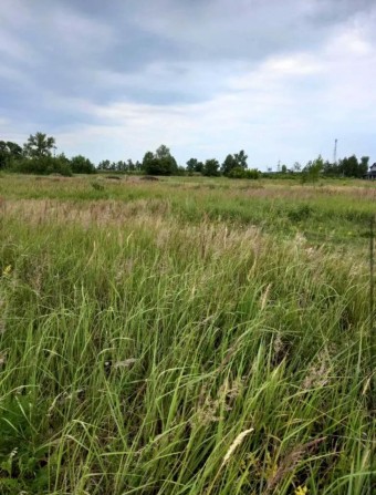 Терміново продам земельну ділянку 4 га поруч із ТРЦ Riviera, Фонтанка, Одеса - фото 1