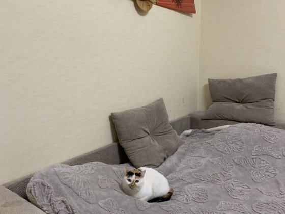 Продам 2-х комн на Солнечной Білгород-Дністровський