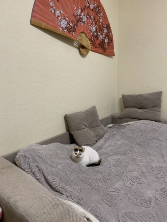 Продам 2-х комн на Солнечной - фото 1