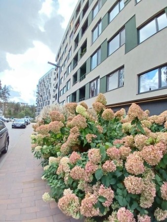 Продам квартиру  в Гостомелі ЖК Парк Таун - фото 1