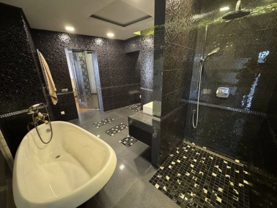 Дворівнева квартира 230 кв.м. Одна на поверху. Панорама парку Софіївка Умань