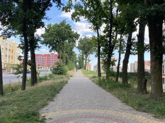 Квартира двухкомнатная Святопетровское