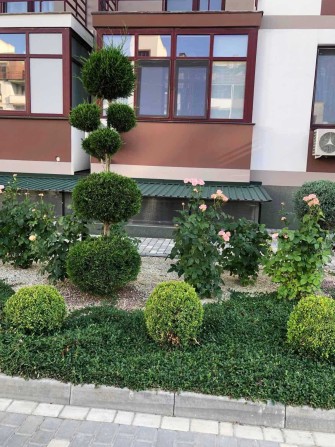 Однокімнатна квартира студія ЖК Смарт Сити - фото 1