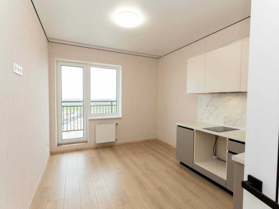 1но ком.с ремонтом в сданном доме-Гос.программы Крыжановка