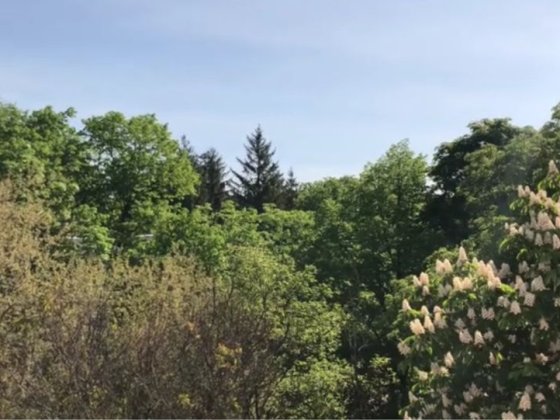 Двокімнатна квартира Первомайск