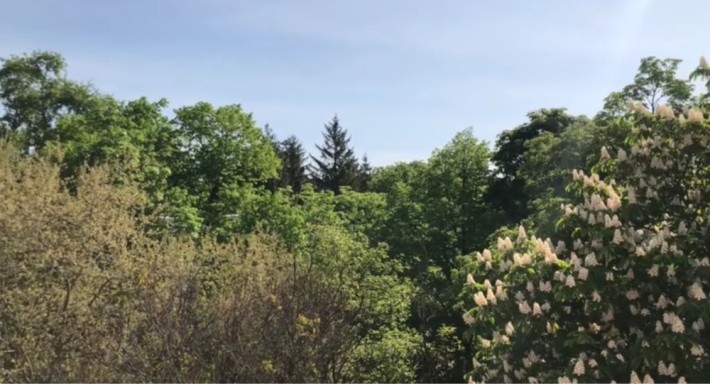 Двокімнатна квартира - фото 1