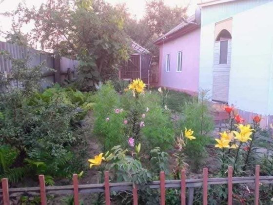 Терміново продається будинок Носовка