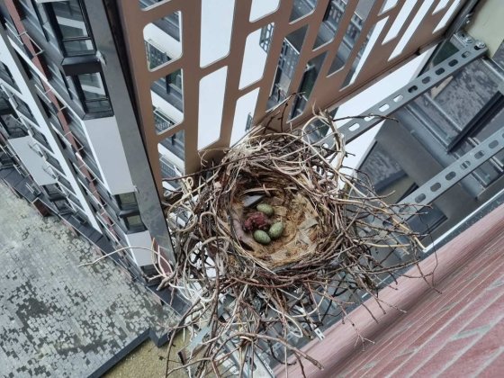 Здана квартира в Манхеттен, термінова ціна 850 у.е за м!Переуступка! Ивано-Франковск