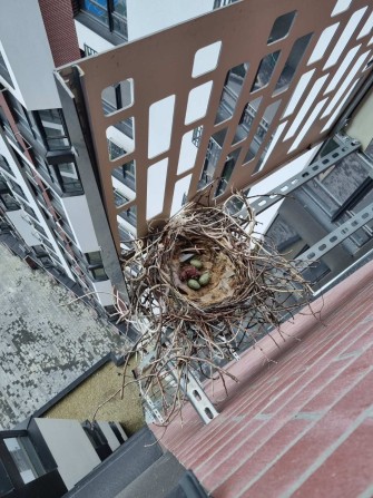 Здана квартира в Манхеттен, термінова ціна 850 у.е за м!Переуступка! - фото 1