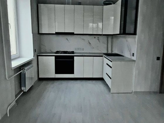 Розкішна квартира в історичному центрі Кривой Рог