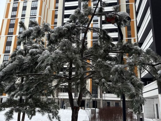 Квартира студія в центрі Ірпеня зданий будинок Ирпень