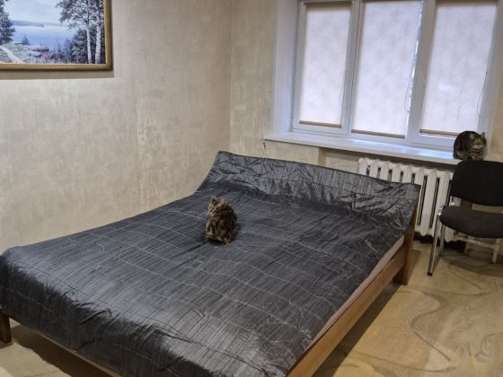 Продам 2-х кім. кв.  в центрі міста по вул. Перемоги, 1/5 (сертифікат) Кременчуг