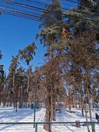 ТОП-локація!ТЕРМІНОВО!!2к квартира в центрі Ірпеня, парк + школа - фото 1