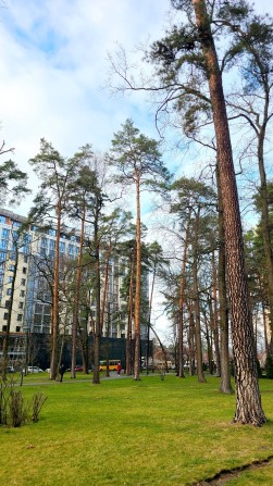 Продаж  1-к квартира в ЦЕНТРІ Ірпеня! Зданий будинок! ЄОселя! - фото 1