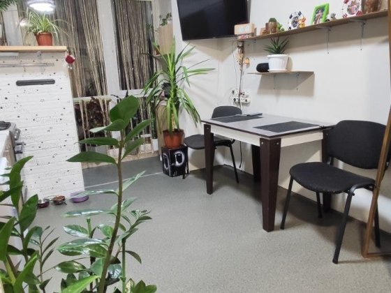 2 кімнатна в гарному ЖК Біля державного садочку та Парку з ремонтом Ирпень