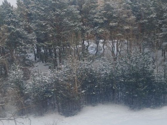 Продам квартиру в Кременчуці Кременчуг