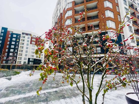 Квартира у розтермінування. Пропозиція від забудовника Ірпінь