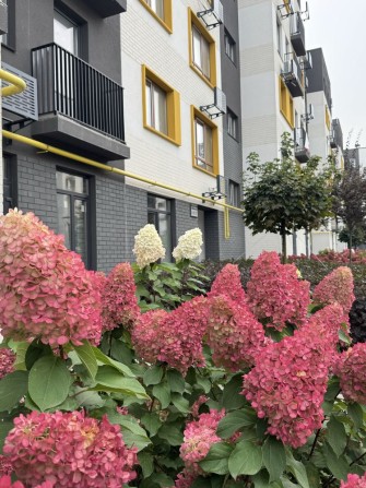 Однокімнатна з ремонтом, топ ціна, швилкий виізд на Киів, є-оселя - фото 1