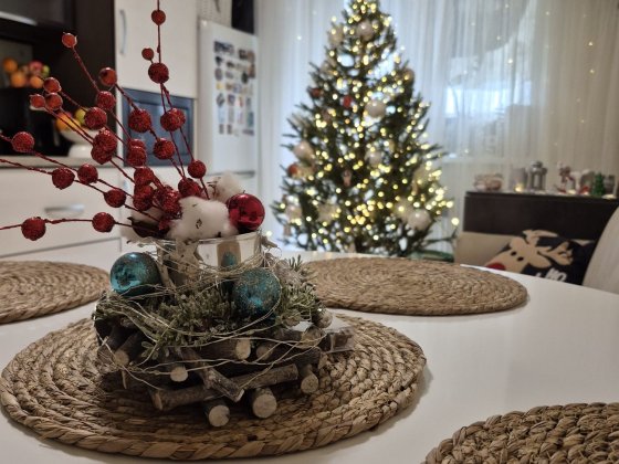 2-кімнатна квартира.  Ремонт. Автономне опалення. Чернигов