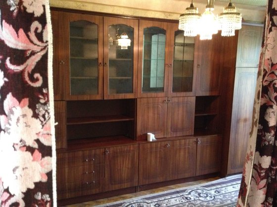 1 кімнатна квартира Київ Деснянский район без комісії Киев