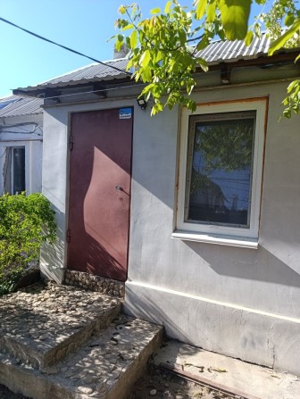 Продам одногокмотного жилкопа. - фото 1