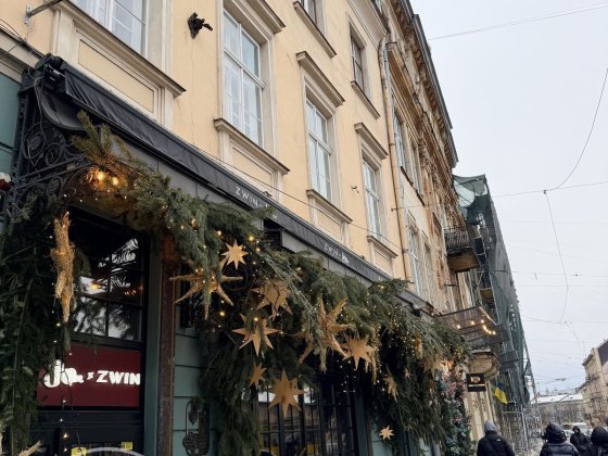 Центр, унікальний вид з вікна, фасадні вікна Львів