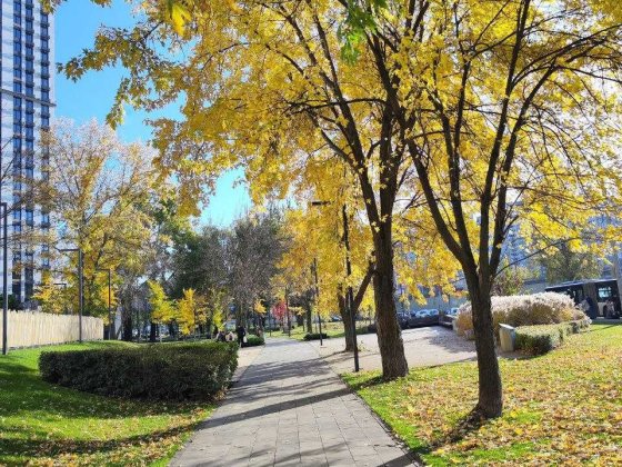 продам квартиру з терасою, поруч метро Киев