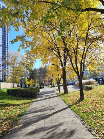 продам квартиру з терасою, поруч метро - фото 1