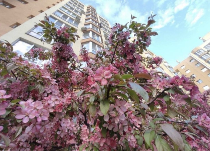 ‼️«Єоселя» Єркерная43м2 С перепланировкой в Євродвушку 43,000$ - фото 1