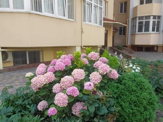 2 ком  квартира 81м2 в кирпчном доме у Парка Победы газовым котлом Одесса