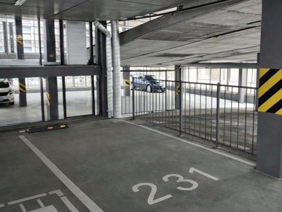 паркомісце Олександра Олеся 25. (Варшавський+) Киев