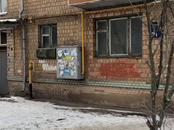 Виноградар, вулиця Світлицького 21 Київ