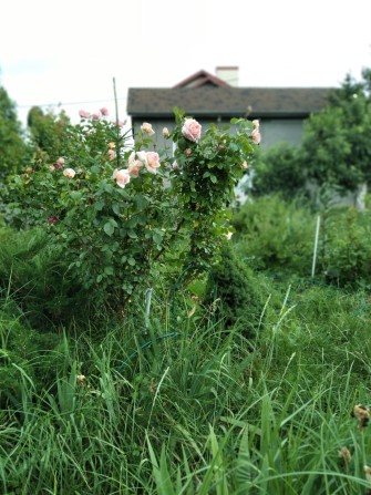 Кімната в оренду - фото 1