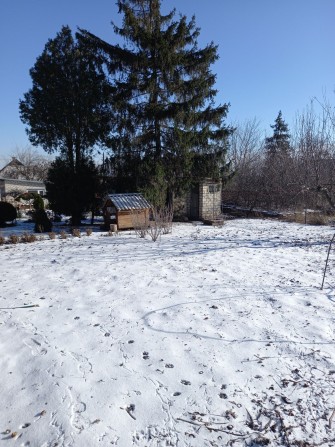 Сдаётся в аренду дом - фото 1