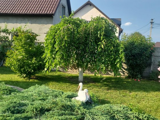 Здам будинок обухів Обухов