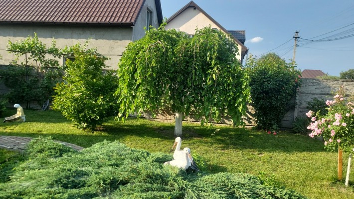 Здам будинок обухів - фото 1