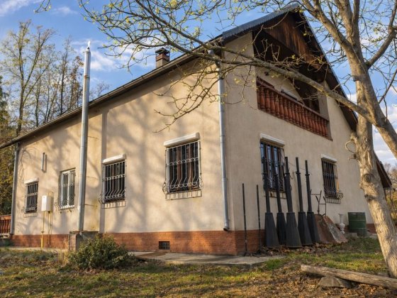 Окремий будинок з безперебійним живленням, укриттям, банею Ирпень