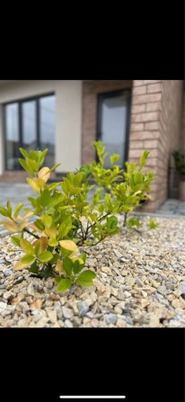 Оренда сучасного двоповерхового дуплексу - фото 1