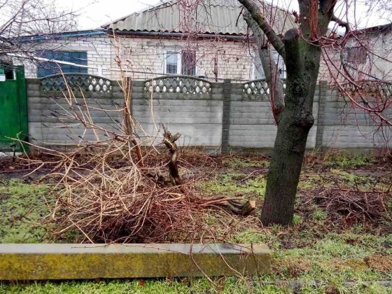 Сдаю дом для семьи Николаев