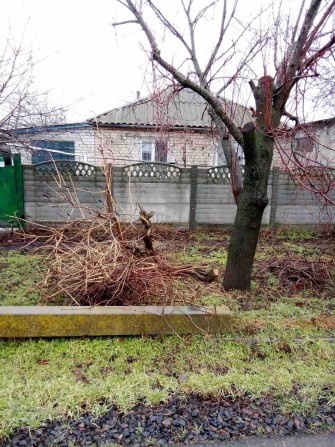 Сдаю дом для семьи - фото 1