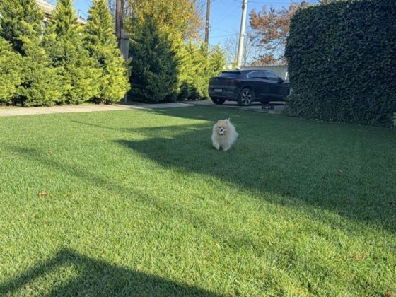 Сдам Милый 4-ком Дом на 13 ст. Большого Фонтана 120м.  Участок 7 соток Одеса