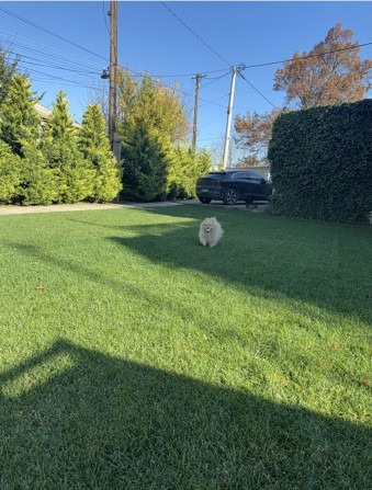 Сдам Милый 4-ком Дом на 13 ст. Большого Фонтана 120м.  Участок 7 соток - фото 1