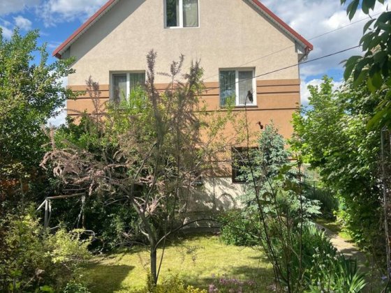 Оренда будинку с. Требухів Требухов