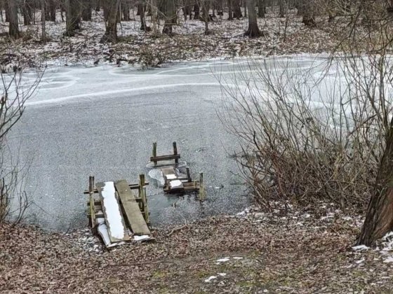 Оренда житлового будиноку с.Острів Надії Борзна